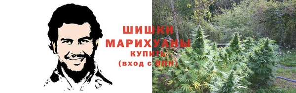 бутират Каменка