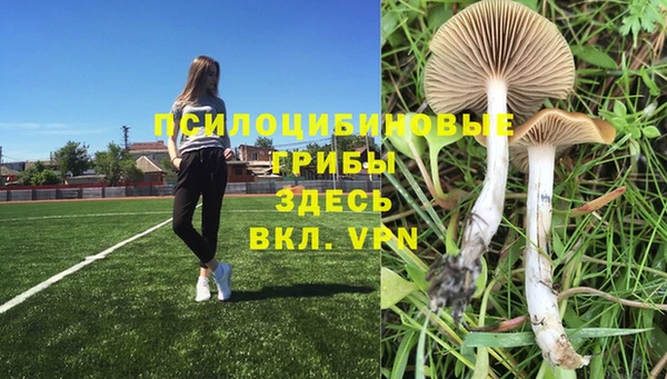 МДПВ Горнозаводск